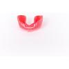 Red Transparent