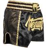 imageVenum Absolute 20 Muay Thai ShortsBlackGold