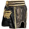 imageVenum Absolute 20 Muay Thai ShortsBlackGold
