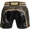 imageVenum Absolute 20 Muay Thai ShortsBlackGold