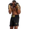 imageVenum Mens Classic Boxing ShortsBlackGold