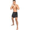 image:imageVenum Mens Phantom FightshortsBlackRed